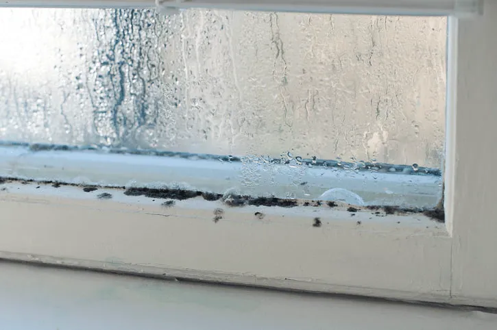 Condensation fenêtre